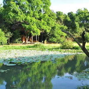Back Of Beyond - Wild Haven Lodge Sigiriya